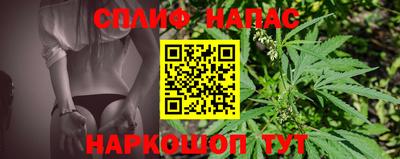 прущие крисы Ставрополь