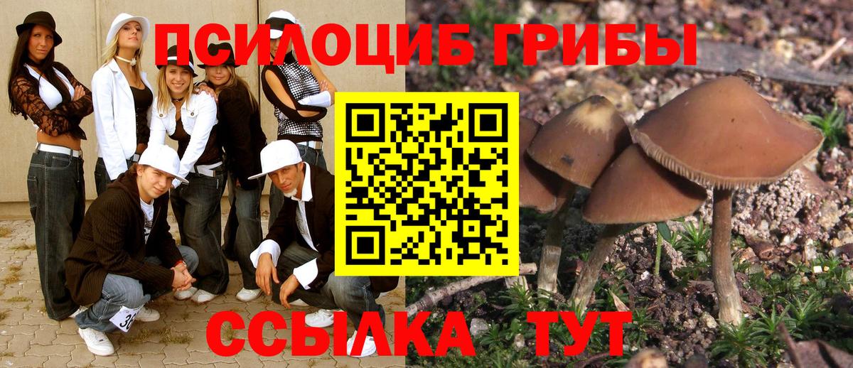 Галлюциногенные грибы Psilocybine cubensis Прохладный
