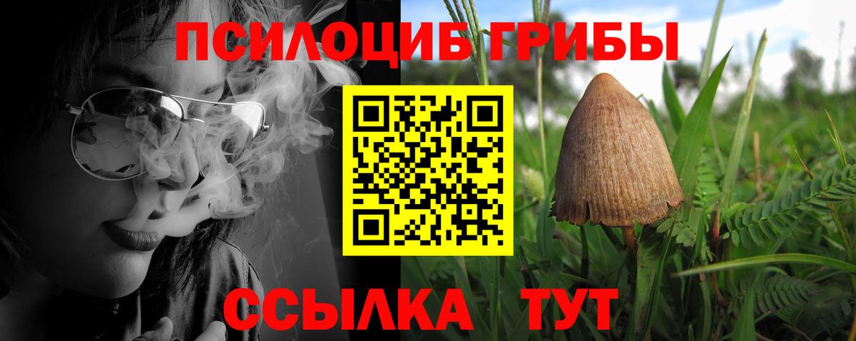 Псилоцибиновые грибы Psilocybe  Вход с VPN  Прохладный  Псилоцибиновые грибы Cubensis 
